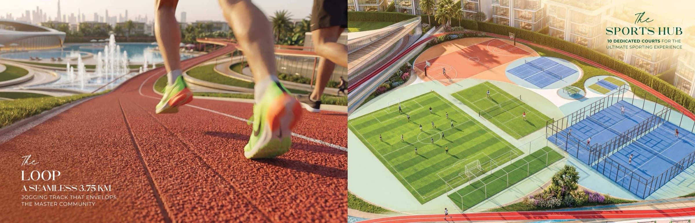 The Loop + Sports Hub