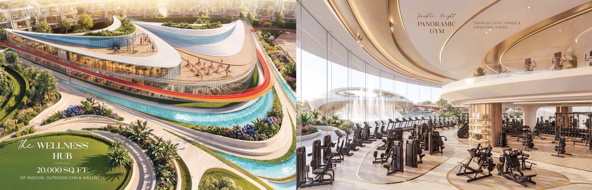 The Wellness Hub